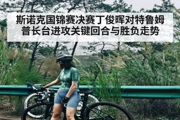 斯诺克国锦赛决赛丁俊晖对特鲁姆普长台进攻关键回合与胜负走势